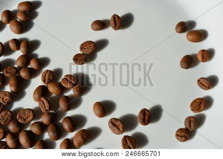 On A White Glass Plate Spilled Chaotically Coffee Beans Laid Delicious Grains Throughout The Plate.