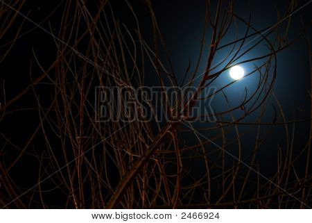 Full Moon