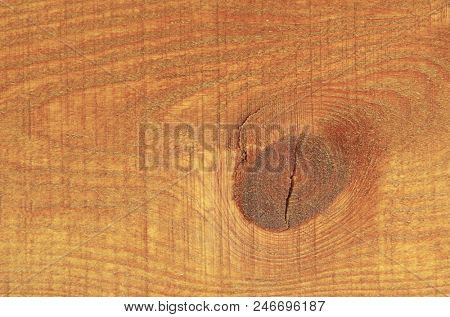 Wooden surface with knot in a chopped tree trunk