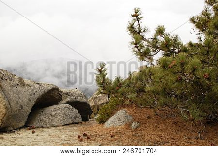 Buena Vista Viewponit In Sequoia National Park, Nature Lamdscape