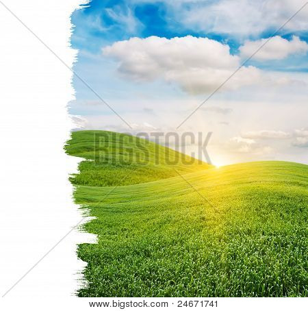 Salida del sol sobre el campo verde con copia espacio