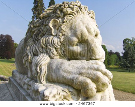 León