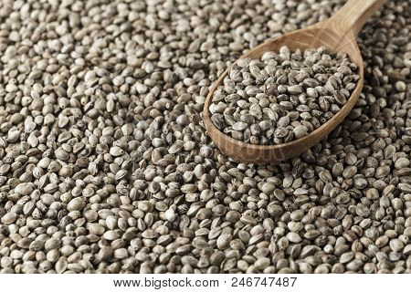 Hemp Seeds Are Scattered As A Background, On Top Lies A Rustic Wooden Spoon