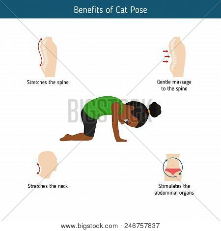 Infographics Of Yoga Pose