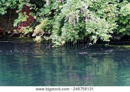 Old Drainage Channel For Watering Of Fields In Italy.