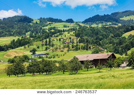 A Summertime View In The Swiss Canton Of Schwyz. The Picture Was Taken At The End Of June In The Reg