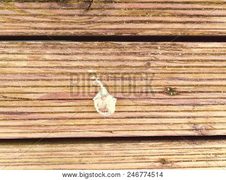 Old Wooden Background Paintedyellow  Green Paint With Cracks