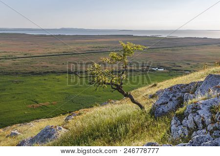 Beautiful Summer Landscape In Dobrogea Region, Near Danube Delta.