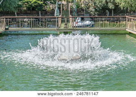 Beautiful Fountain On Water Lake. Green Water.