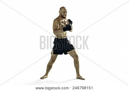 Mma. The Professional Boxer Boxing Isolated On White Studio Background. Fit Muscular Caucasian Athle