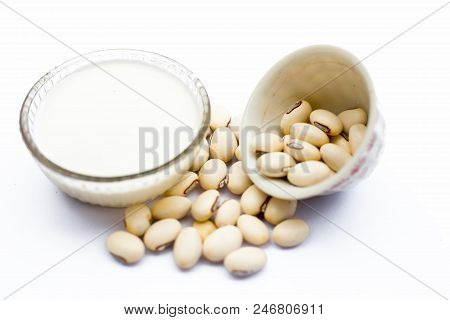 Ayurvedic Herb Kaunch Or Velvet Bean Or Bengal Velvet Bean Or Kapikachhu Or Mucuna Pruriens Isolated