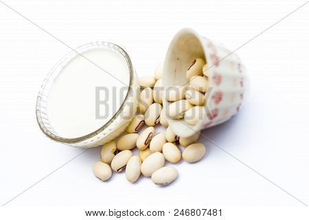 Ayurvedic Herb Kaunch Or Velvet Bean Or Bengal Velvet Bean Or Kapikachhu Or Mucuna Pruriens Isolated