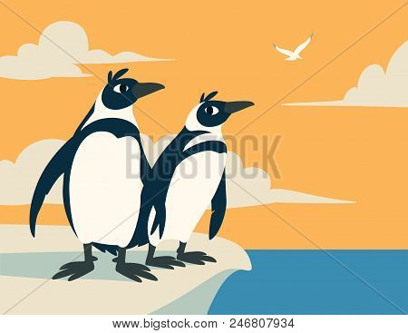 Cute Penguins. Family Of Arctic Birds Look Into The Distance Against The Sky With Clouds And Seagull