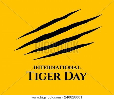 International Tiger Day. Scrapes From The Claws Of A Tiger.  Four Nails Trace. July 29. Template For