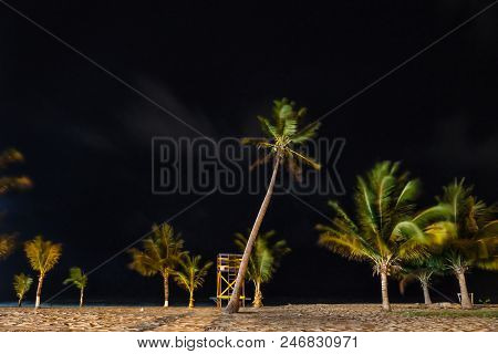 Moving Palm Trees And Lifeguard Stand With Wind At The Beach Of Placencia, Belize