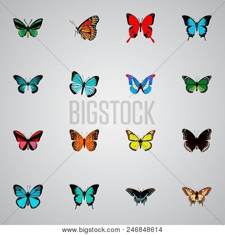 Set Of Butterfly Realistic Symbols With Hairstreak, Checkerspot, Tailed-blue And Other Icons For You