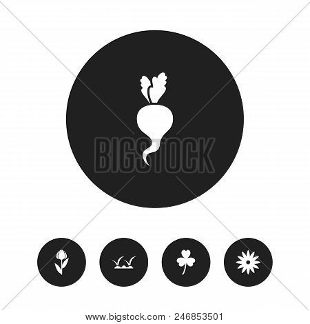 Set Of 5 Editable Gardening Icons. Includes Symbols Such As Clover, Grass, Daphne And More. Can Be U