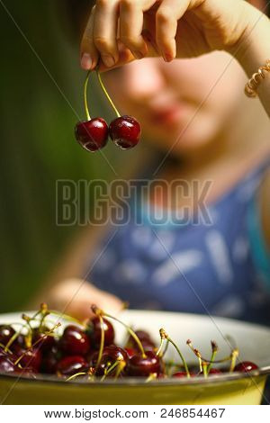 Sweet Cherry Merry In Human Hand With Teenager Girl On Background Close Up Summer Outdoor Photo