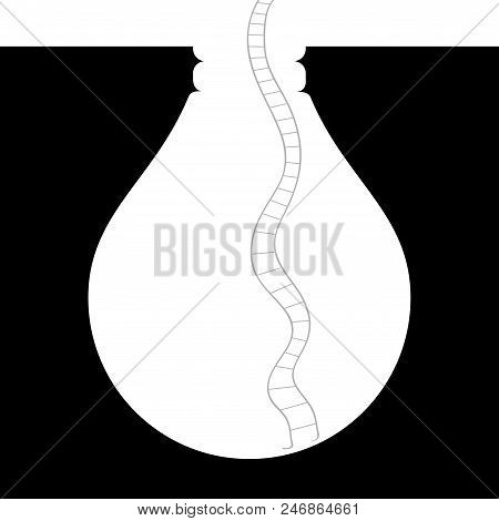 Ladder In Deep Trap,the Trap Is In The Shape Of A Light Bulb.