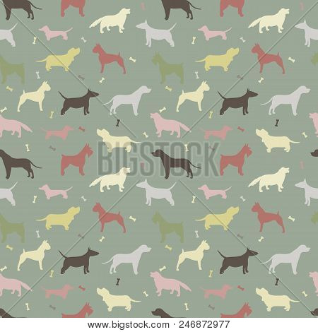 Seamless Pattern With Different Dog Breeds. Dachshund, Dalmatian, Bull Terrier, Staffordshire Terrie