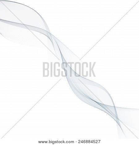 Smoky Gray Translucent Wave On A White Background. Vector Abstract Illustration