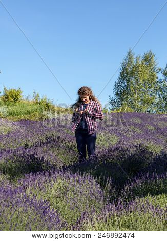 Ostrow, Poland - June 6, 2018: Beautiful  Woman With Long Curly Hair In The Middle Of A Lavender Fie