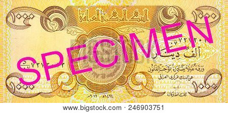 A Single 1000 Iraqi Dinar Bank Note Obverse Specimen