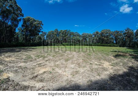 Wahalla Cricket Ground Is A Clearing In The Forest, On A Hilltop Above The Isolated Mining Town Of W