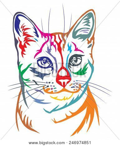 Colorful Decorative Portrait In Profile Of Egyptian Mau Cat, Contour Vector Isolated Illustration In