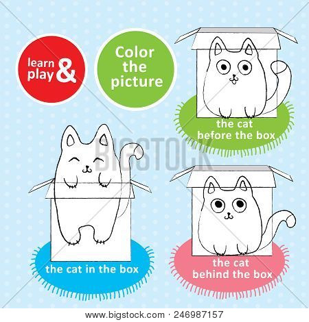 Task For Children. Paint The Cat With Colored Pencils. Different Position Of The Kitten Inside Behin