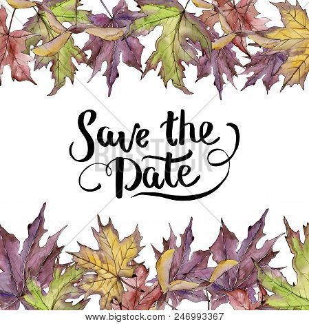Maple Leaves In A Watercolor Style Isolated. Frame Border Ornament Square. Aquarelle Leaf For Backgr