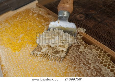 Honeycomb With Uncapping Fork Close Up - Honey Harvest