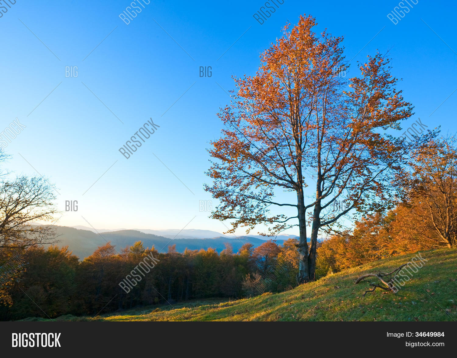 Autumn Evening Image & Photo (Free Trial) | Bigstock