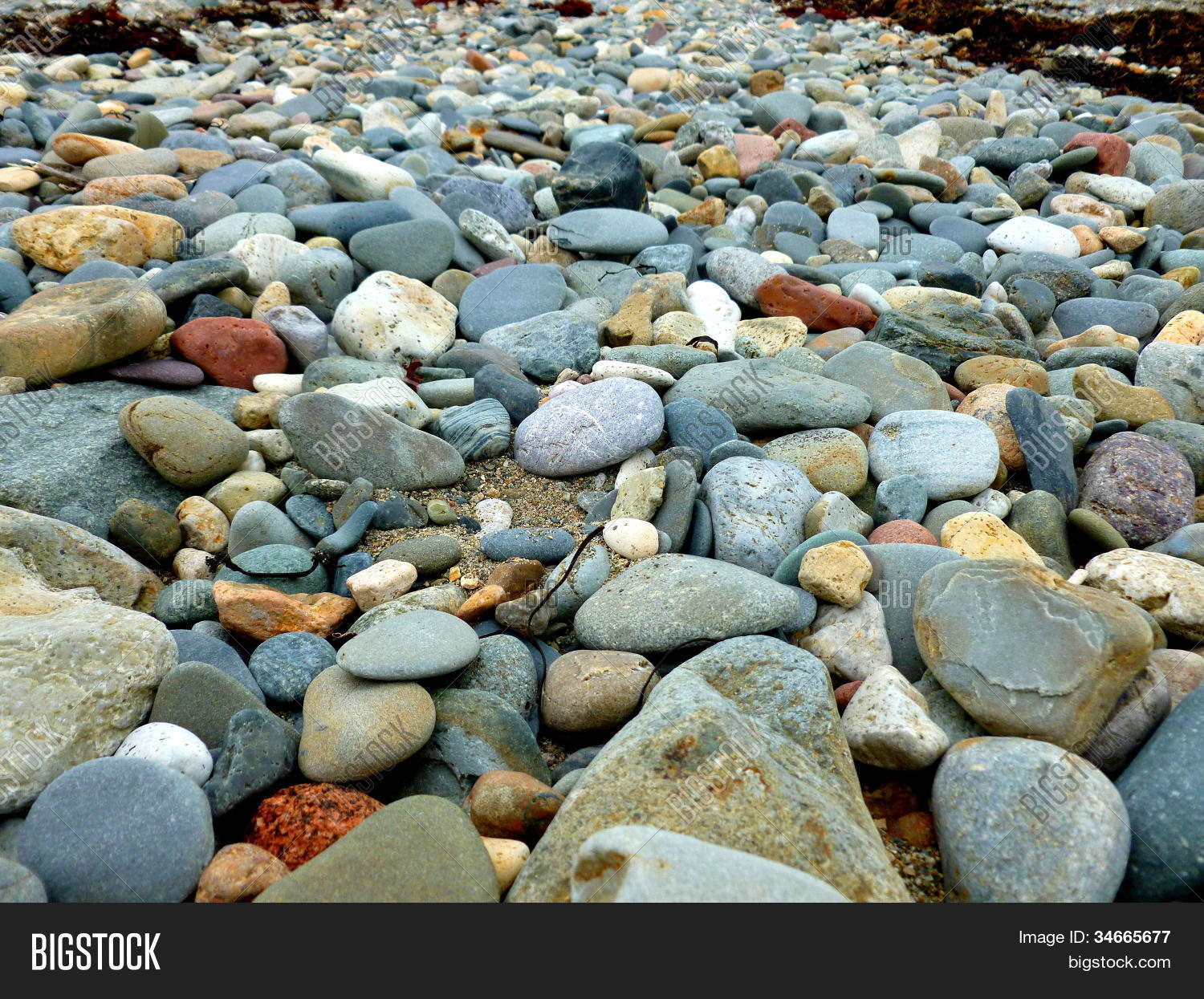Beach Stones Rocks Image & Photo (Free Trial) | Bigstock