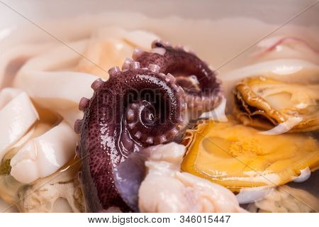 Wet Shiny Swirling Tentacles Of An Octopus, Squids And Mussels Seafood In A Jar In A Pickle, Macro S