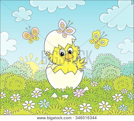 Hatched Small Yellow Chick Looking Out Of A Cracked Egg On Green Grass With Flowers And Butterflies 