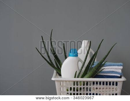 Olthe Concept Of Eco-friendly Natural Detergents. Detergents And Cleaners With Aloe Vera Plant On A 