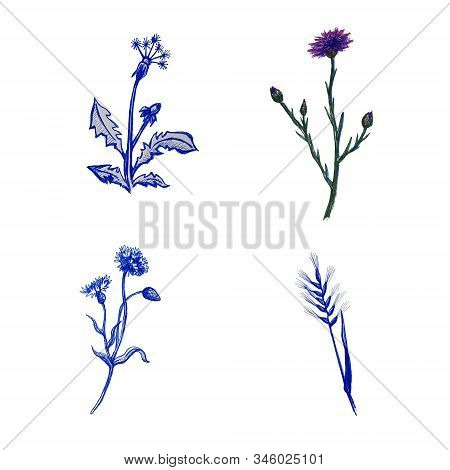 Illustration With Ight Blue Inscription Spring Vibes, In Hand Lettering Style, With Leaves And Textu