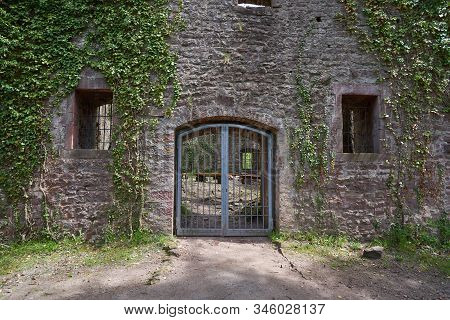 Stone Wall Of The Ruins Of An Old Castle Of Schloss Neuenburg In Germany, Overgrown With Ivy, In Spr