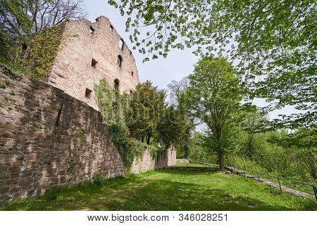 Stone Wall Of The Ruins Of An Old Castle Of Schloss Neuenburg In Germany, Overgrown With Ivy, In Spr