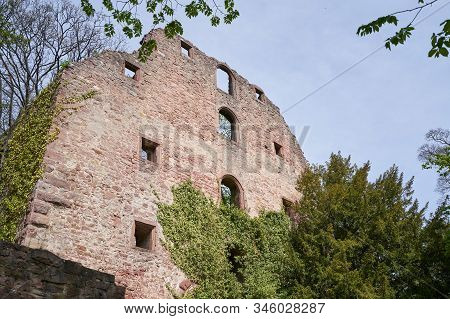 Stone Wall Of The Ruins Of An Old Castle Of Schloss Neuenburg In Germany, Overgrown With Ivy, In Spr