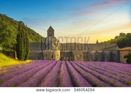 Abbey Of Senanque And Blooming Rows Lavender Flowers Panoramic View At Sunset. Gordes, Luberon, Vauc