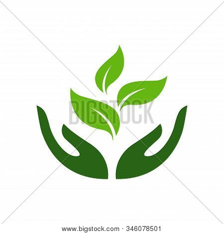 Icon Of Hands Carefully Holding Green Leaves. Symbol Of Ecology, Environmental Awareness, Nature Pro