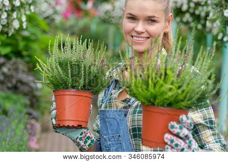 Young woman gardening in greenhouse.She selecting flowers.