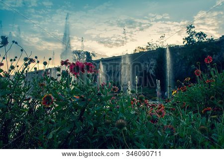 Beautiful Flowers And Water Fountains In Brindavan Gardens During Sunset With Krs Dam In Background,