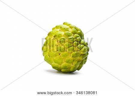 Sugar Apple Or Custard Apple Isolated On White Background