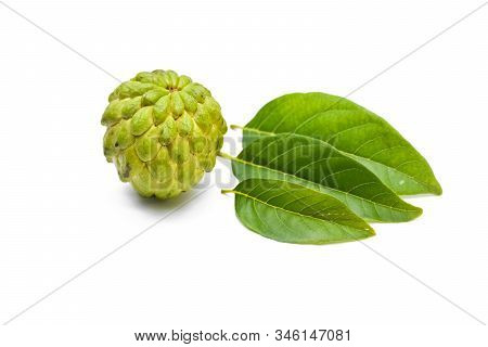 Sugar Apple Or Custard Apple With Green Leaf Isolated On White Background