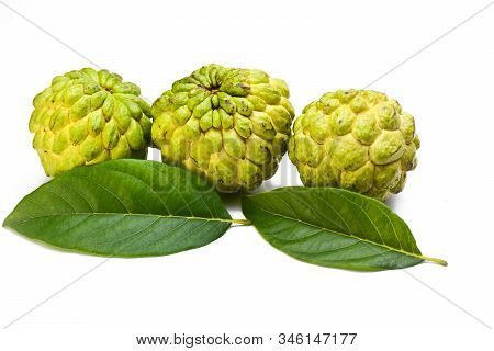 Sugar Apple Or Custard Apple With Green Leaf Isolated On White Background