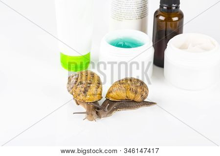 Cosmetics Organic Made With Slaver Of Snail, Very Good For Skin And Health And Fashion In Europe. Po