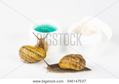 Cosmetics Organic Made With Slaver Of Snail, Very Good For Skin And Health And Fashion In Europe. Po